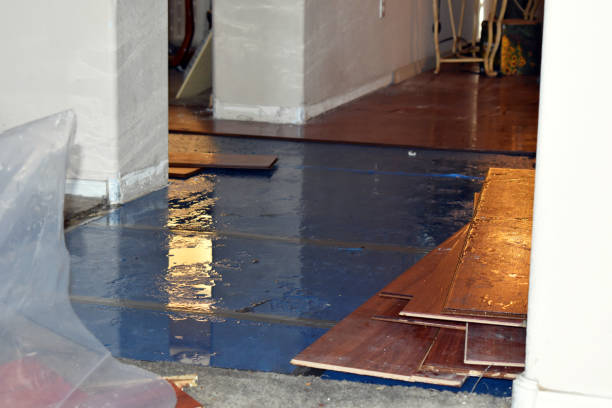 Professional Sewage Cleanup technician working in Castine, ME